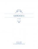 Ejercicio 1 tecnologia de la informacion