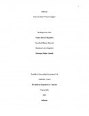 Proyecto final “Puerto Salgar”