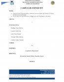 Disposiciones fundamentales y derechos irrenunciables del Trabajo. Contrato de Servicios Ocasionales
