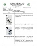 Tipos de microscopios y su utilización