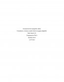 Incorporación de tipografía, tablas, Formularios y botones usando diseño de página adaptable