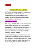 Semana 3 desarrollo de habilidades. Técnico jurídico y sus Funciones