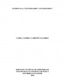 EVIDENCIA 4: CUESTIONARIO “ANÁLISIS DOFA”