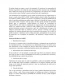 Metodología para el Análisis de Riesgos (AMEF)