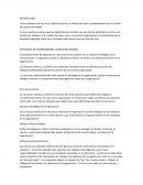 ESTRATEGIA DE COMPENSACIÓN: ALINEACIÓN INTERNA