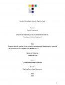Propuesta para la creación de una estructura organizacional administrativa, comercial y de operación para la compañía IVAN BOHMAN C.A