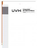 Ejercicio práctico: ruta crítica ADMINISTRACION DE OPERACIONES
