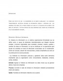 Los Sistemas de Información