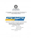 ANALISIS ESTRATEGICO EMPRESA ELECTRICA SAESA CHILE