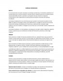 Burbuja inmobiliaria resumen