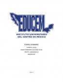 Transferencia de Calor puede ser por conducción, convección y radiación