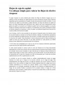 Flujos de caja de capital