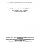 AUTOMATIZACIÓN BASE DE DATOS PARA UNA INMOBILIARIA