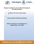 Introduccion a La Sociologia de Las Organizaciones