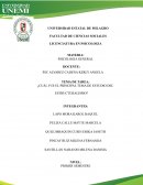 Teoria motora de la conciencia, Hugo