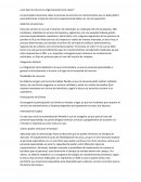 ¿Qué tipo de estructura organizacional sería mejor?