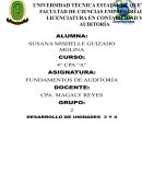 EJECUCION DE AUDITORÍA