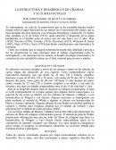 LA ESTRUCTURA Y DESARROLLO DE CRANIAL Y SUTURAS FACIALES