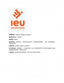 MEDIOS TECNOLOGICOS INNOVADORES EN ENTORNOS VIRTUALES