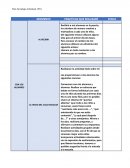 Plan de trabajo individual