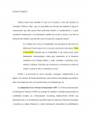 Marco teorico Contadores Públicos