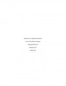 Generacion y transmision eléctrica