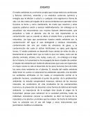 Que es el Medio Ambiente, Que es la Ecología