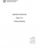 Gestión Comercial Caso n°1: Pintura Bonita
