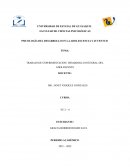 TRABAJO DE EXPERIMENTACION: DESARROLLO INTEGRAL DEL ADOLESCENTE