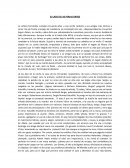 EL CASO DE LAS PERLAS GRISES