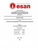 GESTIÓN DEL CRONOGRAMA Y DE LOS RIESGOS EN PROYECTOS