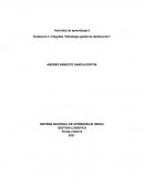 Evidencia 3: Infografía “Estrategia global de distribución”