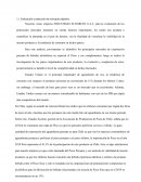 Evaluacion y seleccion de mercados INDUSTRIAS ECOGREEN S.A.C