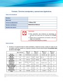 Formato: Términos semejantes y operaciones algebraicas