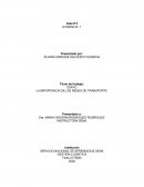 LA IMPORTANCIA DE LAS REDES DE TRANSPORTE