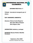 Velocidad de transporte por el xilema