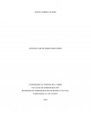 ENSAYO SOBRE CALIDAD