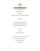 Investigación de mercados OFFCORS