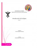 CARACTERISTICAS DE SIX SIGMA