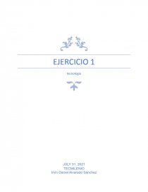 Ejercicio 1 tecnologia de informacion. Página 1