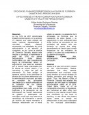 EFICACIA DEL PLAN ANTICORRUPCION EN LA ALCALDIA DE FLORENCIA CAQUETA EN EL PERIODO 2016-2019