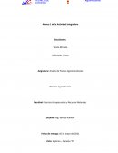 Diseño de Plantas Agroindustriales