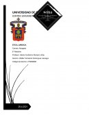 Derechos Humanos. La libertad de expresión