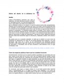 Detrás del diseño de la biblioteca de Seattle