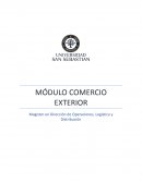 MÓDULO COMERCIO EXTERIOR