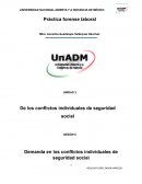 Demanda en los conflictos individuales de seguridad social
