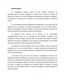 Idea de negocio berries congelados