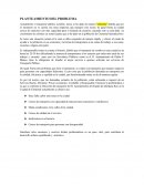 Características del Transporte Público