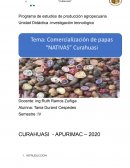 Informe del proyecto de comercialización de la papa