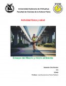 Micro y Macro Ambiente